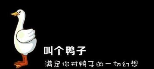 店铺招牌被取缔，同样是“家禽”，为何叫“鸭”和“鸡”待遇不同