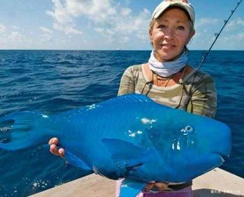 女子海里钓上蓝色怪鱼,不仔细看还以为是塑胶玩具!