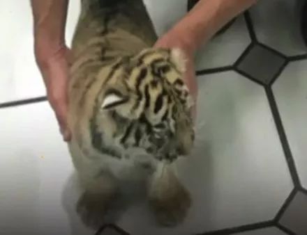 警犬对着塑胶箱怒吼,没想到警察打开一看竟是.....