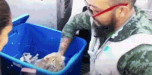 警犬对着塑胶箱怒吼,没想到警察打开一看竟是.....