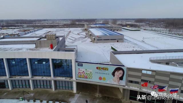 花生小镇小雪风光