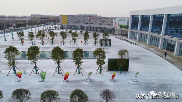 花生小镇小雪风光