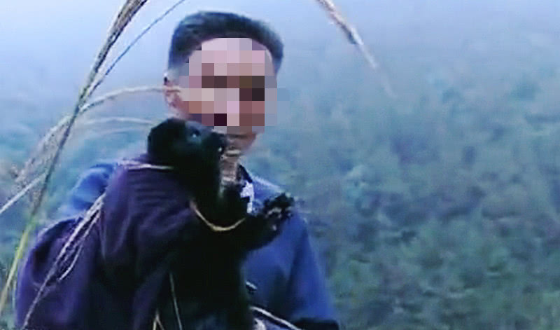 天价放生令人愤怒！几千只狐狸直接倒进山谷，咬死村民鸡鸭