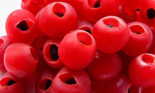 盆景红豆杉养护妙招,这些方法你都知道了吗?学学长经验