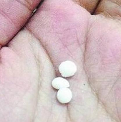 美国女子在蛤蜊中吃出40颗珍珠，餐厅全数赠予