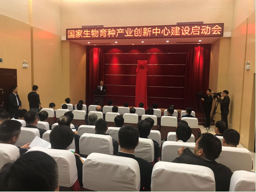 国家生物育种产业创新中心河南开建：从源头保障国家粮食安全