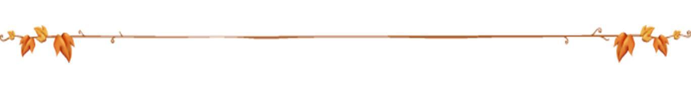 兰花是最理想的植物,兰花该如何养护呢?来学习一下吧