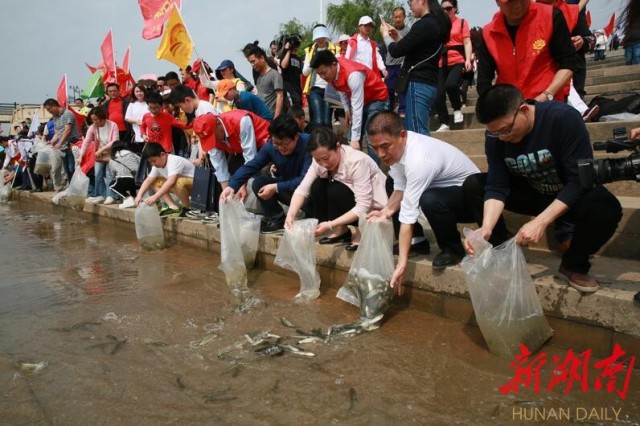 [岳阳] 养护洞庭生态　守护一江碧水