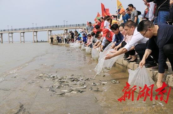 [岳阳] 养护洞庭生态　守护一江碧水