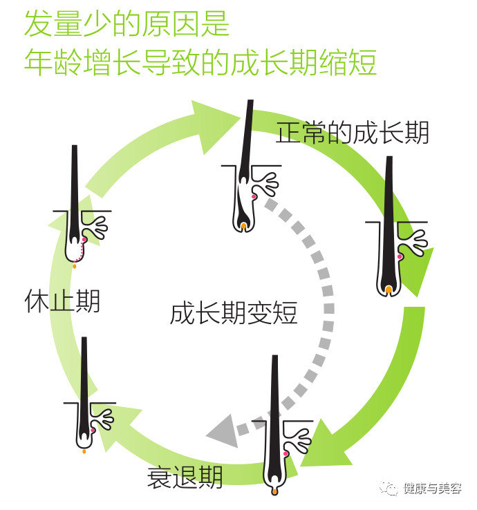 48岁洪欣的头发有没有一斤重?不显老的头发养护法