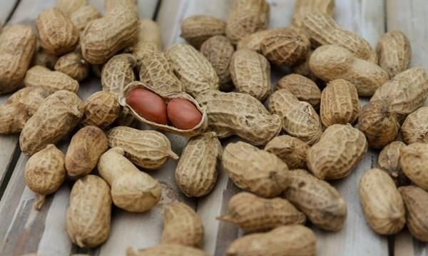 花生和此物一起炒，每天来一盘，延缓闭经、通乳散结