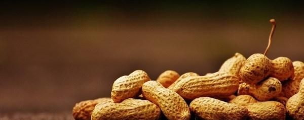 花生和此物一起炒，每天来一盘，延缓闭经、通乳散结