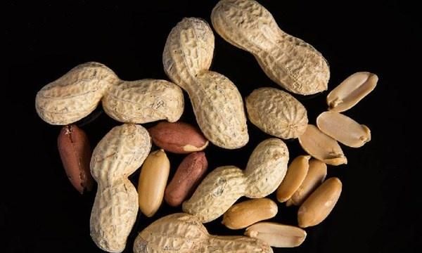 花生和此物一起炒，每天来一盘，延缓闭经、通乳散结