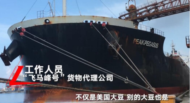 “飞马蜂号”大豆引发猜想，美国没了中国订单，大豆销量却增加？