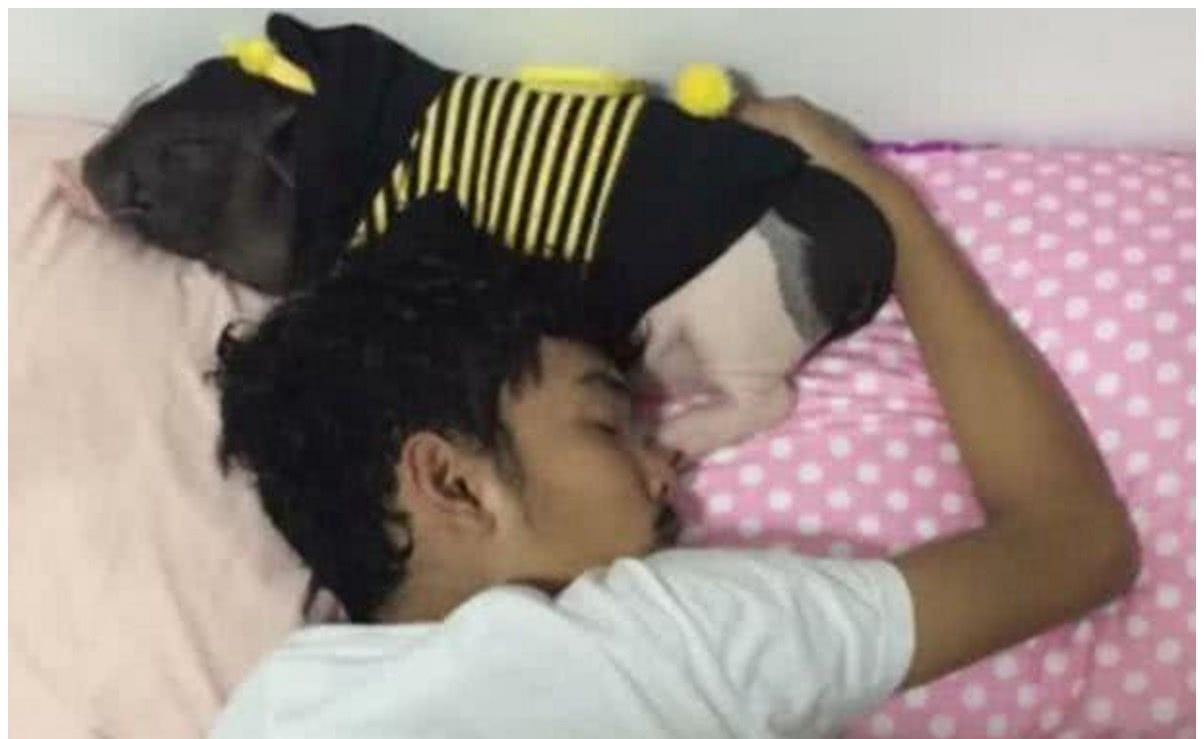男子网购一只小香猪，越养越不对劲，一年之后感觉可以过年吃了