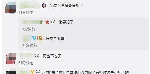 网购卫龙辣条火锅，没成想吃出虫子，客服回复亮了：这是香料而已