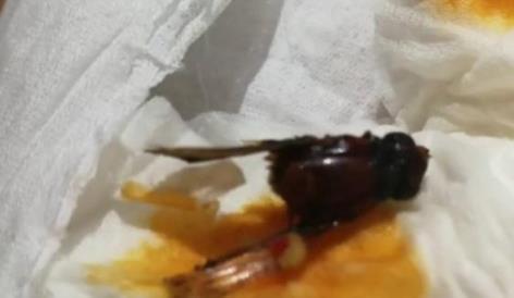 网购卫龙辣条火锅，没成想吃出虫子，客服回复亮了：这是香料而已