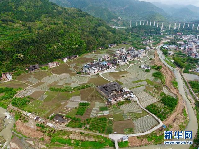 福建永泰：花生种植助农增收