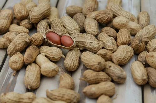 花生是“长生果”，但这6类人千万别贪嘴，越吃越伤身