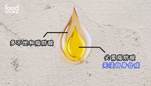 养护血管的最佳时机就是现在