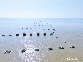 国家级水生物资源养护研究基地落户靖江