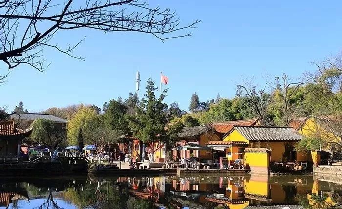 周末去哪嗨？黑龙潭夏鹃盛开，盆景园打卡就等你啦！