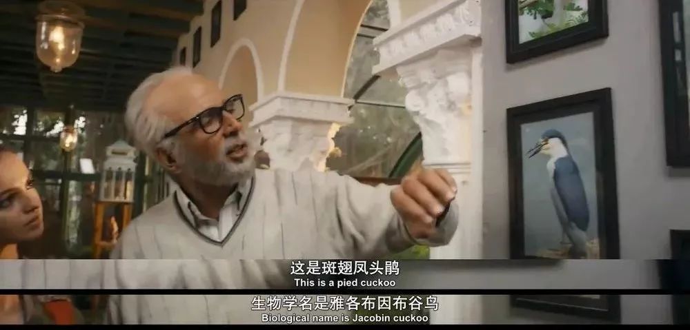 印度版「钢铁侠」，还特么出了续集！
