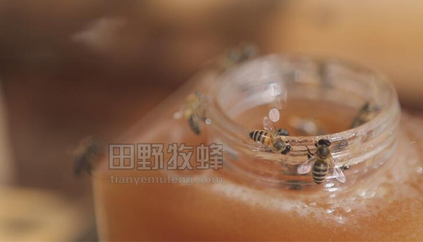 蜂王浆混蜂蜜什么时候吃比较好?蜂蜜和蜂王浆什么时候喝最好?