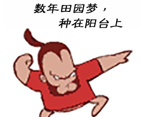 听台长说找盆景素材的三条途径，途径三：市场选购慧眼识桩
