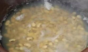 取点“黄豆”简单一处理，给发财树盆里埋10粒，枝繁叶茂