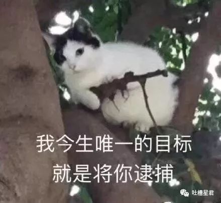 网购了9块9包邮的爱豆同款眼罩，结果收到货后...自拍瞎了！！