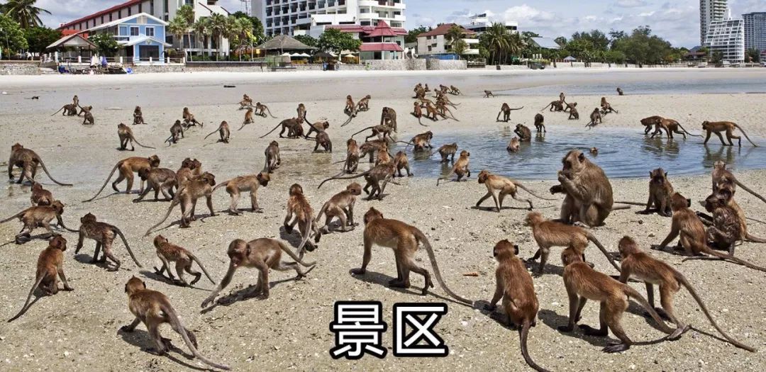 网购了9块9包邮的爱豆同款眼罩，结果收到货后...自拍瞎了！！