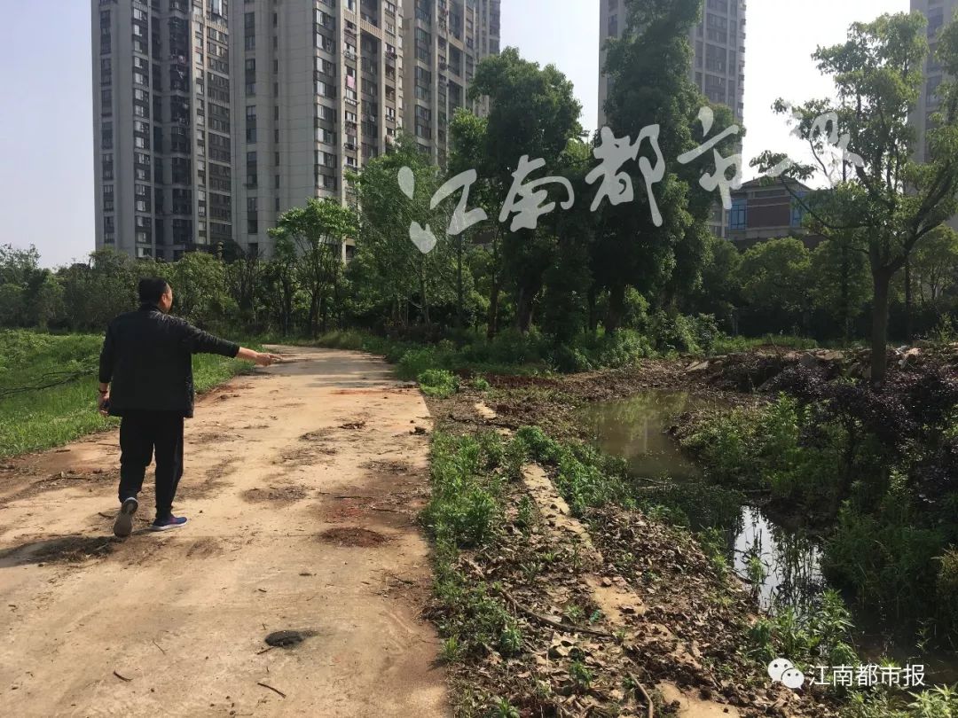 速看！南昌这条河一公里内竟是污泥遍地水发黑、连路灯护栏都没有……