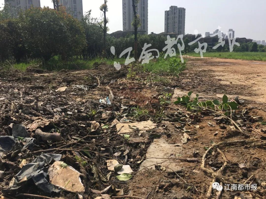 速看！南昌这条河一公里内竟是污泥遍地水发黑、连路灯护栏都没有……