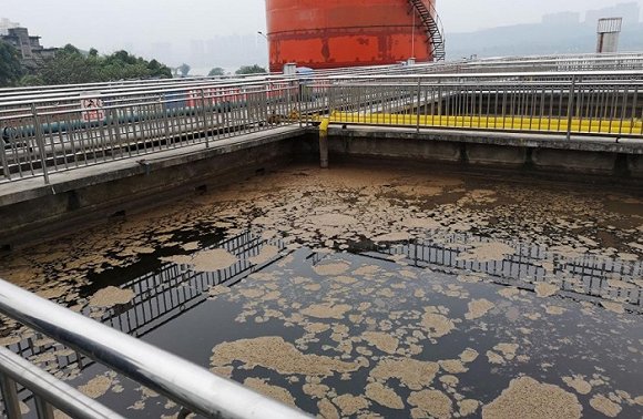 环保督查组：泸州老窖酿酒基地污水渗排超标，绵竹磷化工企业污染地下水