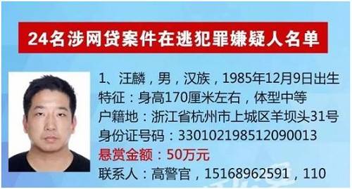 据警方通报，2014年以来，犯罪嫌疑人汪麟伙同他人，通过启蓝控股集团有限公司（下设“元泰金服”P2P平台）及其旗下百余家关联公司，利用高额利息回报非法集资，涉案金额巨大。为逃避打击，汪麟等人逃至境外。