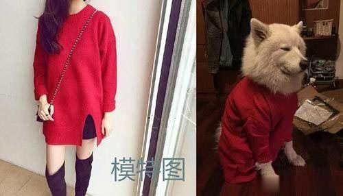 比“差评”还要恐怖的买家秀，卖家跪着求删评，网友：网购需谨慎