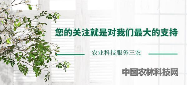 魏延安：小龙虾火爆对农产品上行的启示
