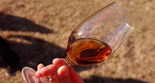喝葡萄酒时，酒杯倒入多少才是标准量呢？三品红酒与你解密