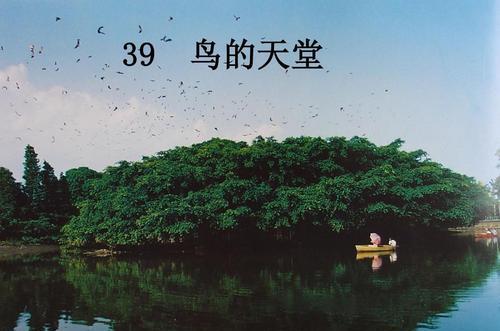 广东这座古村落，被誉世界最早环保村，造就巴金笔下《鸟的天堂》