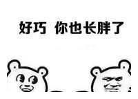 刘亦菲玩地面飞人，赵丽颖器械练力量，明星运动哪个最适合你？