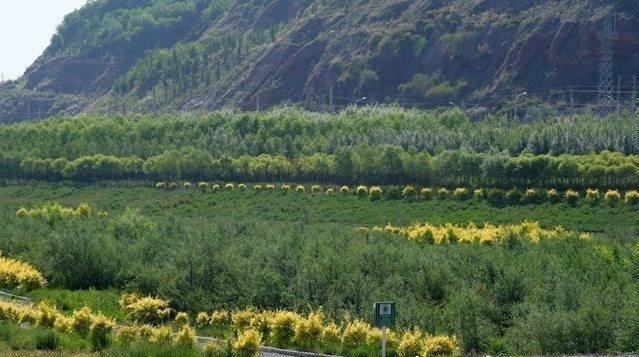 甘肃省资讯｜「甘肃生态环保行」助力“兰州蓝”“煤改气”让兰