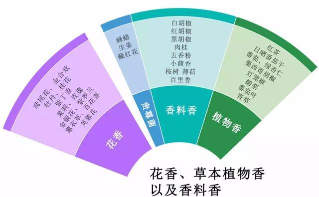 脚踩风味风火轮，直入葡萄酒品酒大门