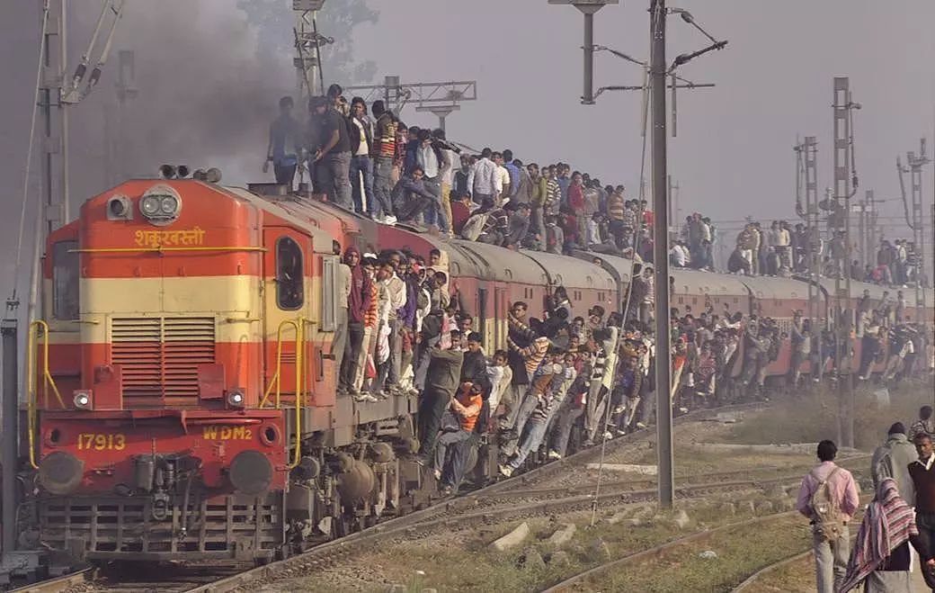 蜜蜂“挂脸”，印度女子不一般