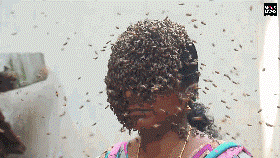 蜜蜂“挂脸”，印度女子不一般