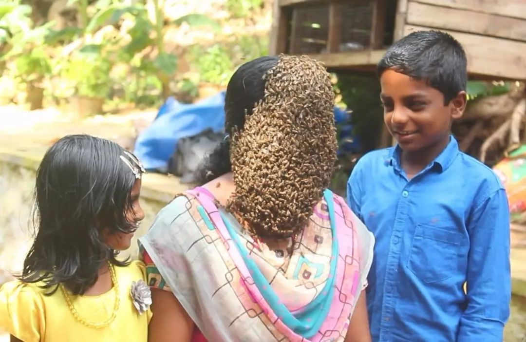 蜜蜂“挂脸”，印度女子不一般