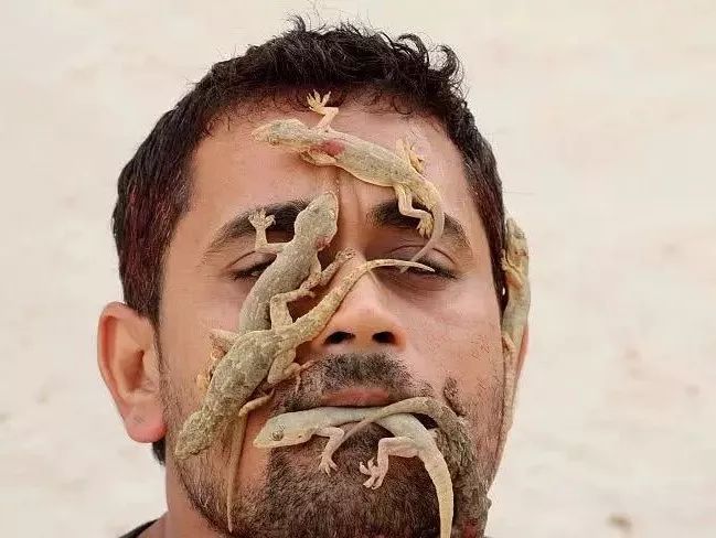 蜜蜂“挂脸”，印度女子不一般