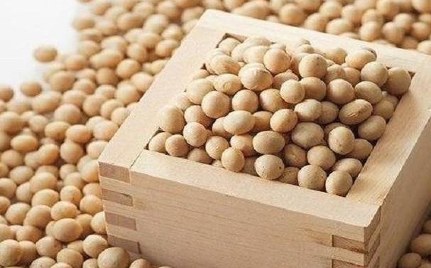 中国一年进口9650万吨大豆，吃的完吗？哪来做什么了？看完就懂