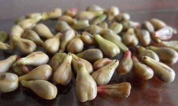 肝舒服的人，常吃4样食物，补肝气，养护肝脏