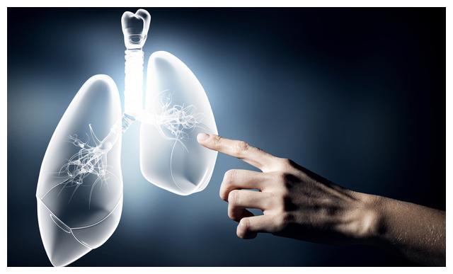 蜜蜂养殖,浓烟会不会危害蜂群?老蜂农:浓烟含有这些有毒气体